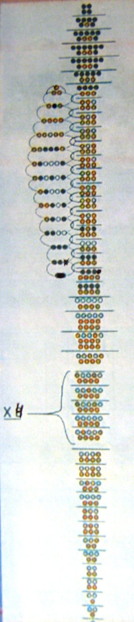 Схема плетения кобры из бисера