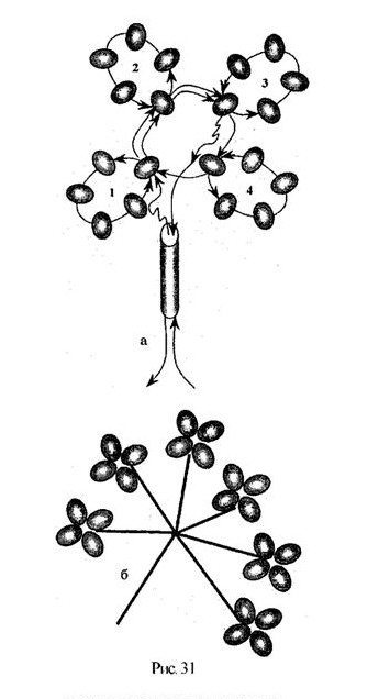 Схема плетения сирени из бисера