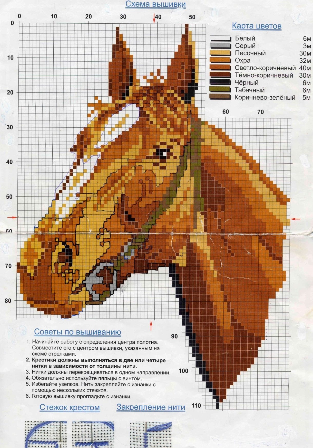Схема вышивки лошади крупным планом
