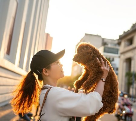 Самая красивая порода собак в мире