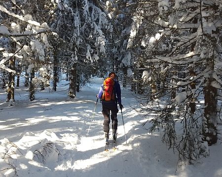 идеи для отдыха на природе