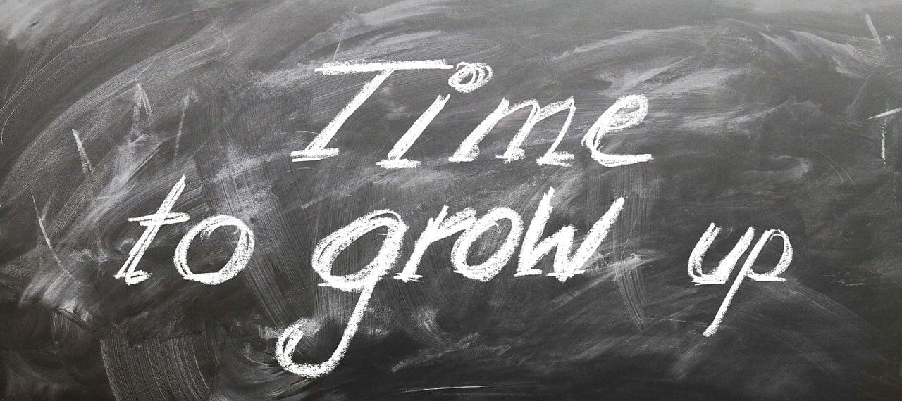 бесплатная школа